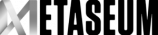 Metaseum-RGB-logo-black-META-SEUM-300x68